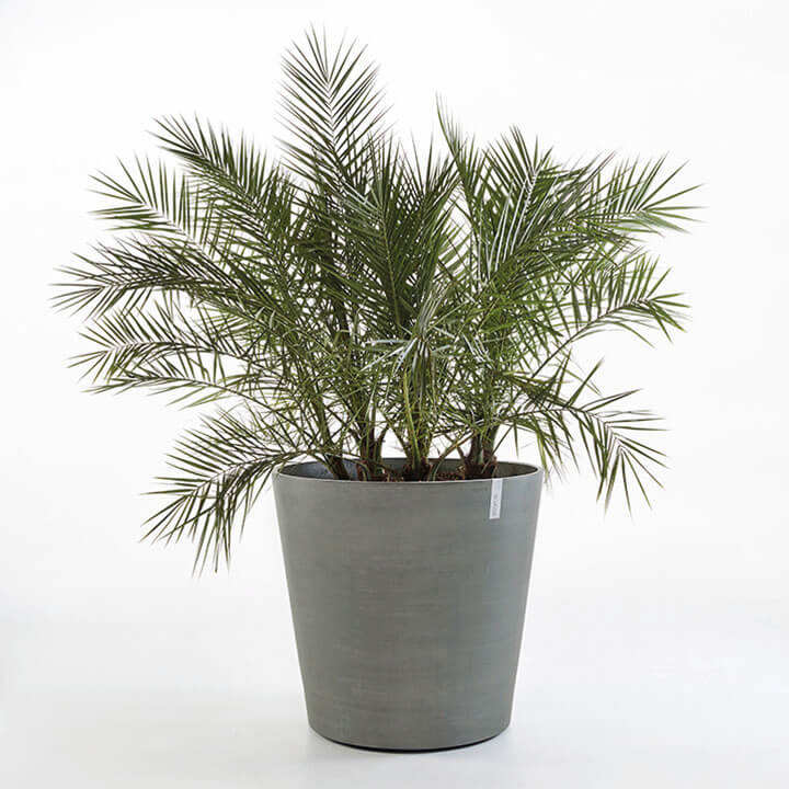 ECOPOT Sustainable Plant Pots