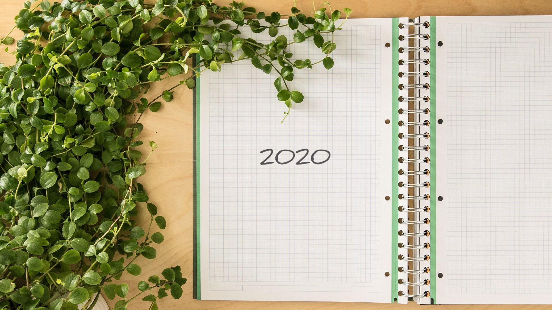 2020 Review Header